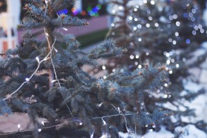 photo-1418073067875-c5f5ba16fe75-sm